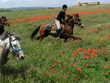 Spain-Catalonia-Catalonia Explorer Ride